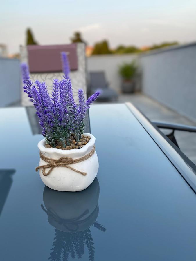 Villa Maleo Медулин Екстериор снимка
